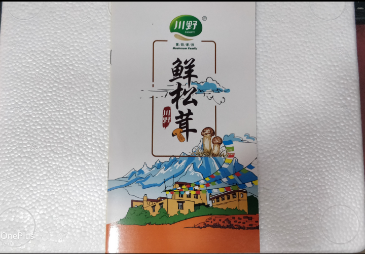 川野  送50元优惠券 新鲜松茸野生菌 雅孜特产  未开伞 送礼礼盒装500g 空运直达 包邮 12,第2张