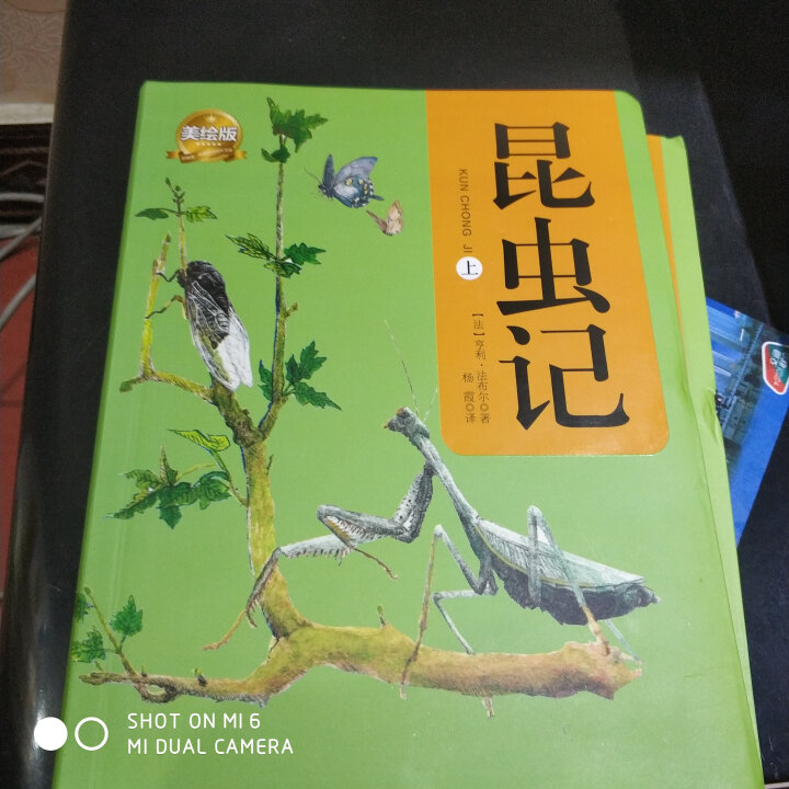 昆虫记2册套装（软精装版）昆虫记 最美法布尔原著美绘版世界文学教育部推荐新课标读物课外阅读畅销书怎么样，好用吗，口碑，心得，评价，试用报告,第2张