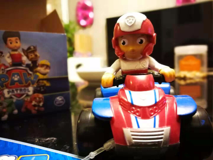 汪汪队立大功（PAW PATROL）狗狗巡逻队全套模型车 儿童男女孩玩具车套装 救援赛车系列,第3张