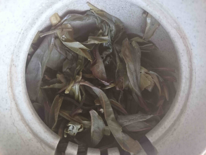 九雁云南普洱茶生茶饼冰岛老班章易武古树茶叶3片装/600g怎么样，好用吗，口碑，心得，评价，试用报告,第8张