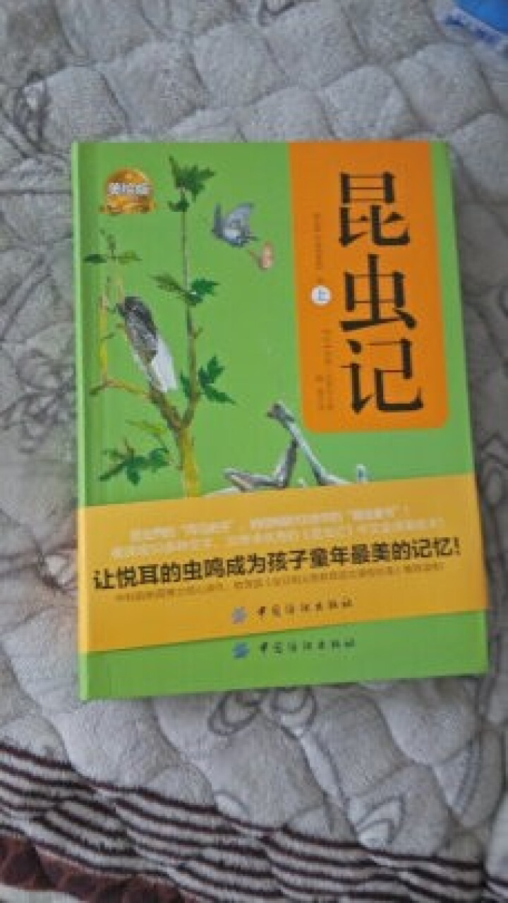 昆虫记2册套装（软精装版）昆虫记 最美法布尔原著美绘版世界文学教育部推荐新课标读物课外阅读畅销书怎么样，好用吗，口碑，心得，评价，试用报告,第3张