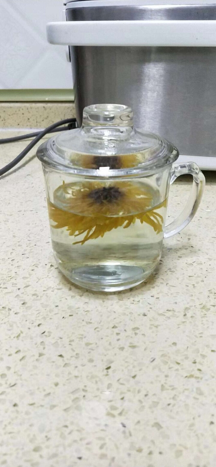 【礼盒装送花茶杯】茗愿 菊花茶金丝皇菊 一朵一杯大黄菊花茶金丝黄菊 去火下火花草茶 可搭配金银花枸杞 金丝皇菊25朵礼盒装怎么样，好用吗，口碑，心得，评价，试用,第4张