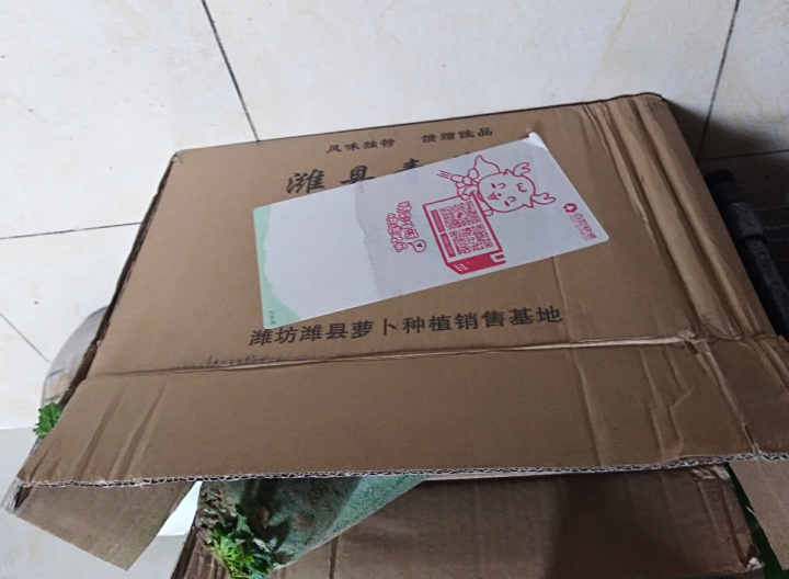 潍坊萝卜 潍县 青萝卜水果萝卜2.5kg 新鲜蔬菜怎么样，好用吗，口碑，心得，评价，试用报告,第2张