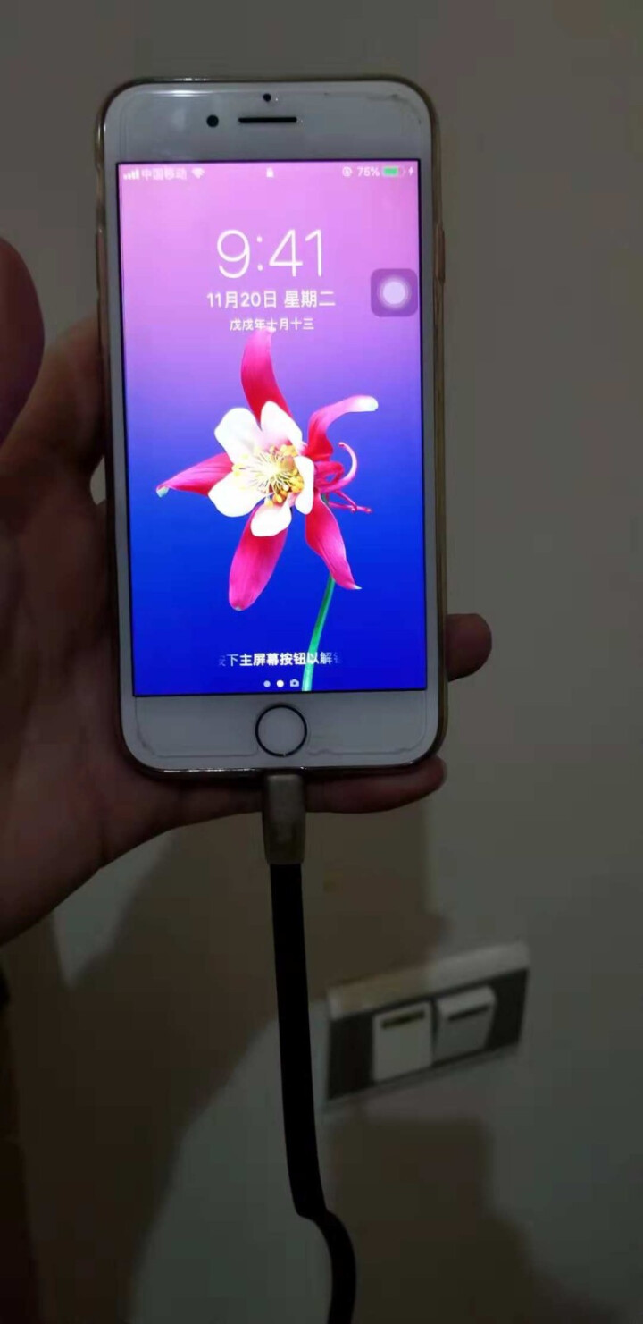 雷瑞科usb苹果手机数据线2A快充apple充电线 iphoneX/8/7plus/6s/5s冲电线 锌合金,第3张