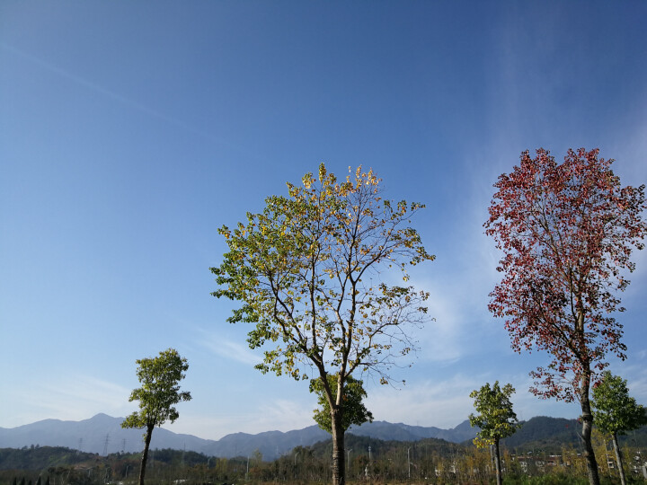 富苹 【富县馆】陕西农家 苹果脆片 苹果圈 脆甜 休闲特产 蜜饯果干 陕西特产 3包特惠装怎么样，好用吗，口碑，心得，评价，试用报告,第4张