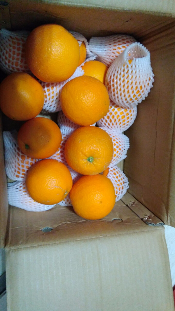 【湘西馆】中华红血橙红肉脐橙 单果果径60m