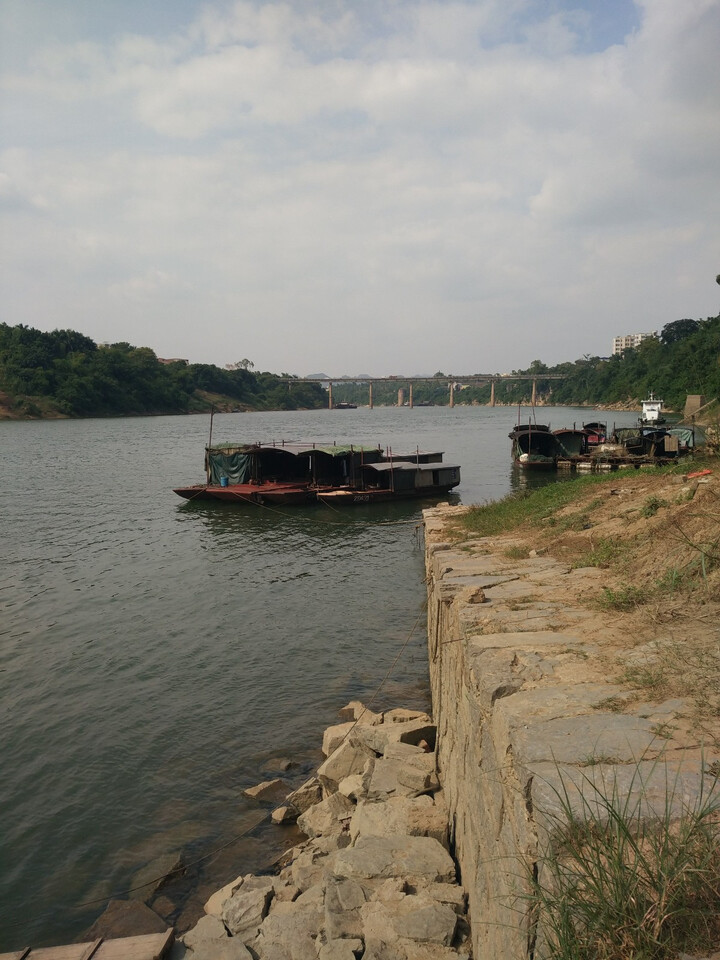 拓胜/toswim 泳镜 男女防雾游泳镜大框高清舒适泳镜鼻桥 耳塞 带镜盒