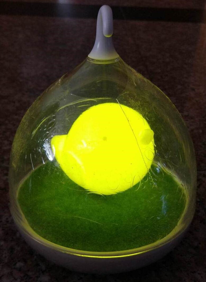 创意DIY定制刻字个性鸟笼灯小夜灯感应灯 生日