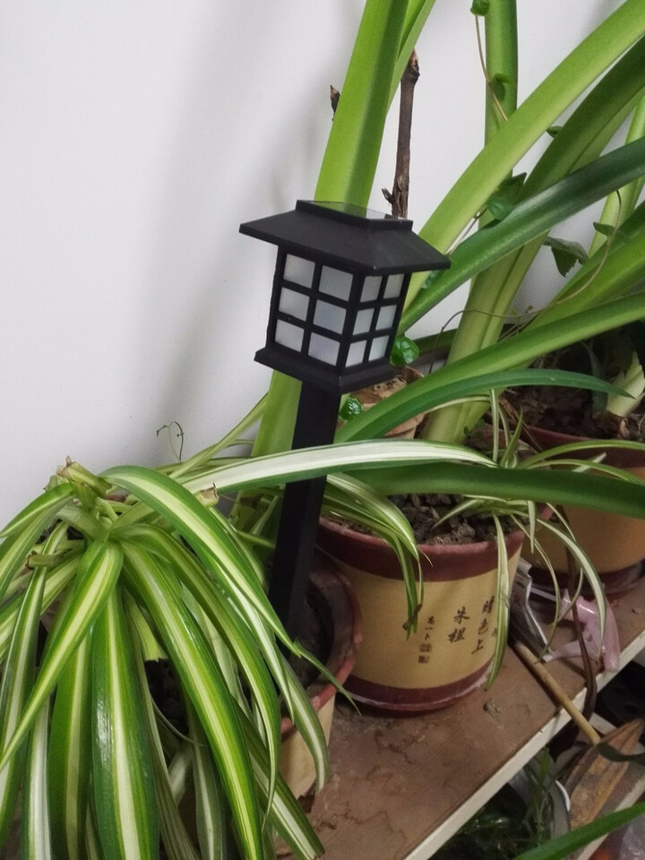 布雷科曼太阳能灯户外led微亮草坪灯家用庭院