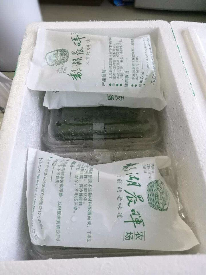 鄱湖晨晖农场 有机水果小黄瓜（无刺） 1000g 约12根怎么样，好用吗，口碑，心得，评价，试用报告,第2张