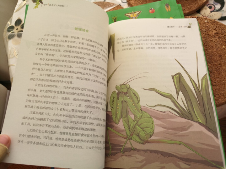 昆虫记（上中下3册）【法】法布尔.昆虫记美绘版世界文学教育部推荐八年级上新课标读物课外阅读畅销书 昆虫记3本怎么样，好用吗，口碑，心得，评价，试用报告,第4张