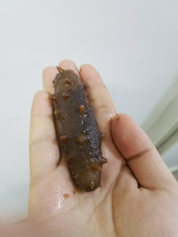 晓龙 大连即食海参礼盒 500g 7,第4张