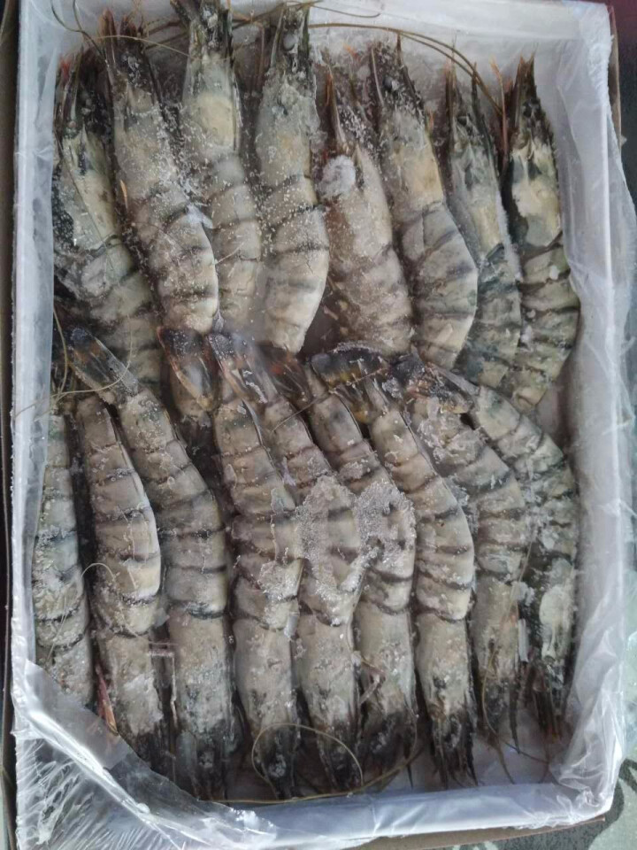 鲜有汇聚 冷冻大黑虎虾 1000g34,第5张