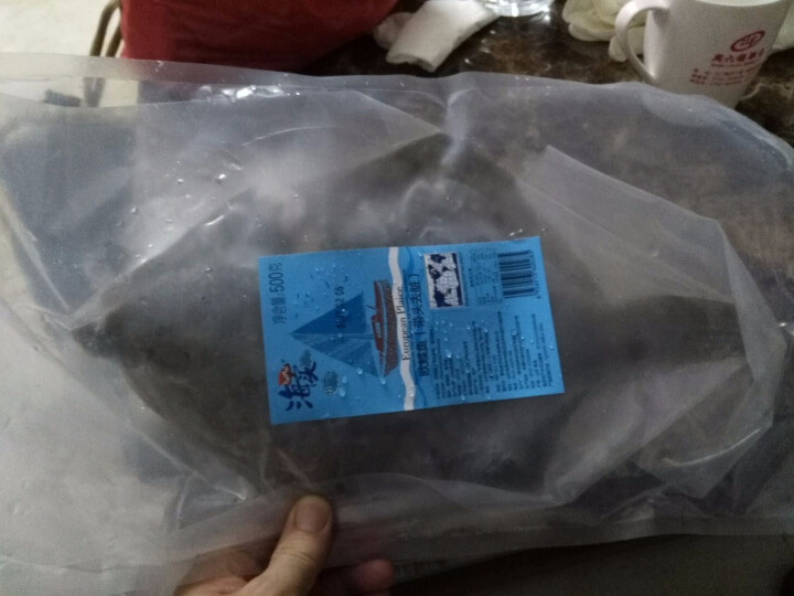 海买 冷冻荷兰欧鲽鱼 500g 1,第3张