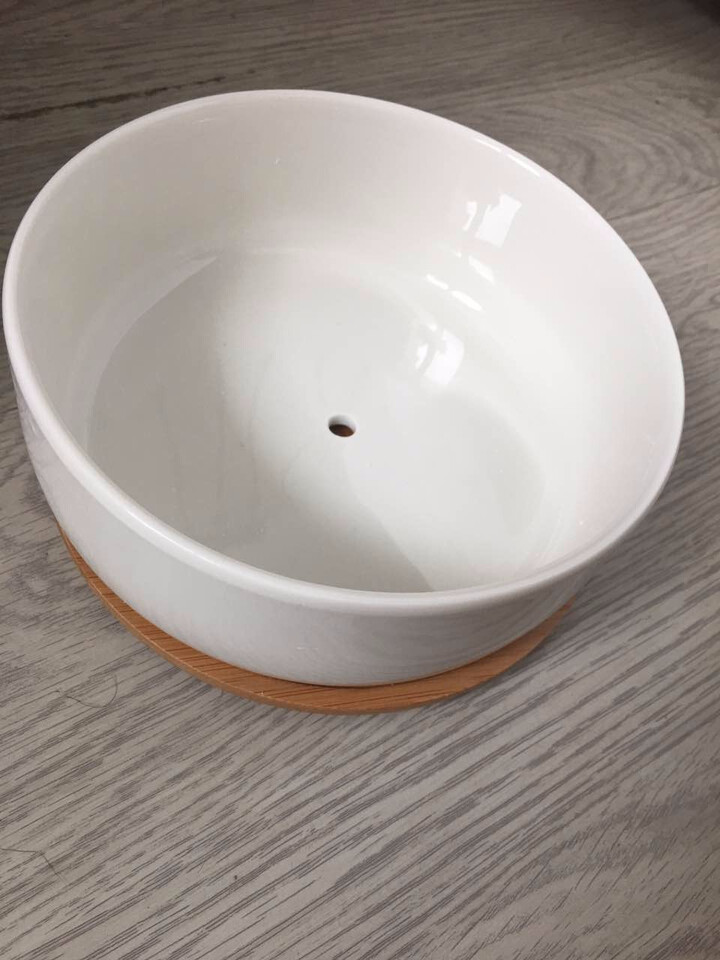 创意肉肉简约花盆白瓷盆多肉陶瓷盆器带竹托 白色陶瓷圆形多肉花盆