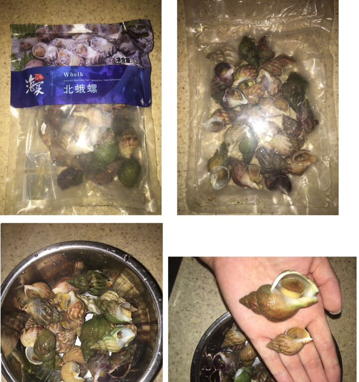 海买 冷冻冰岛北蛾螺 350g 15,第2张