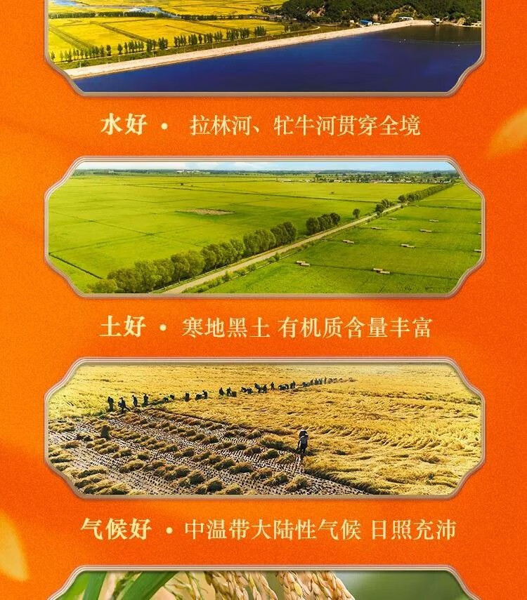 a35cb776ff651dc6.jpg