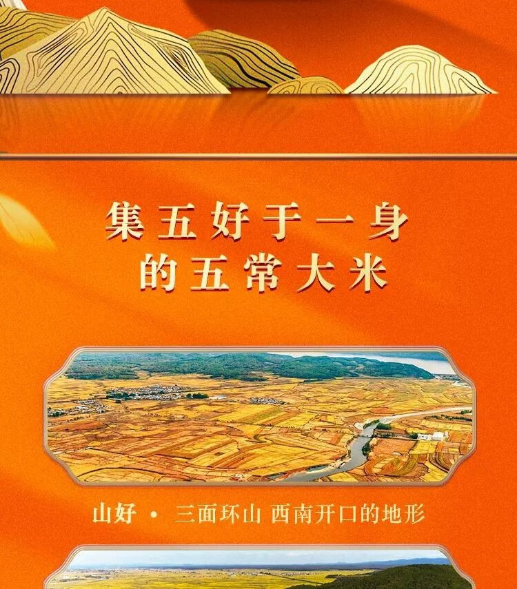 883f78b85398de06.jpg