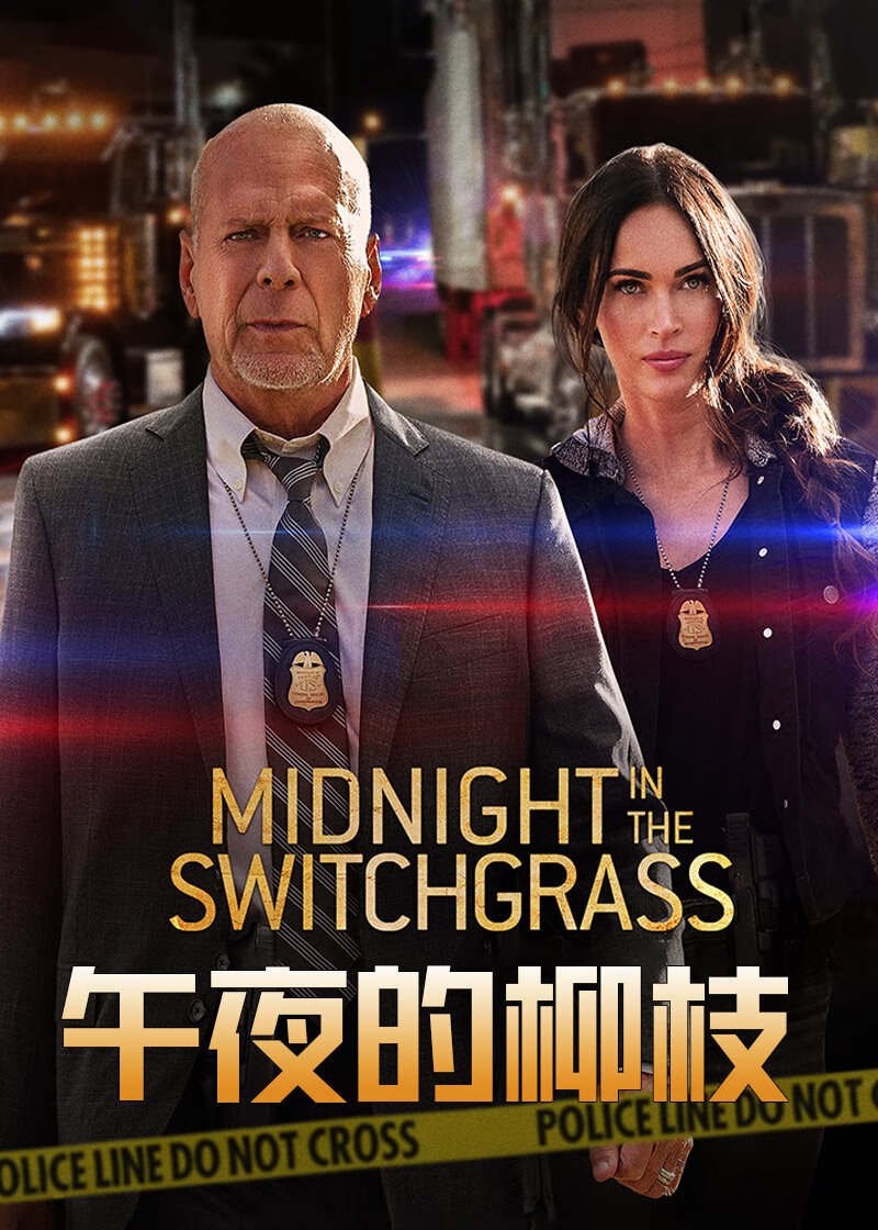 Midnight in the Switchgrass海报